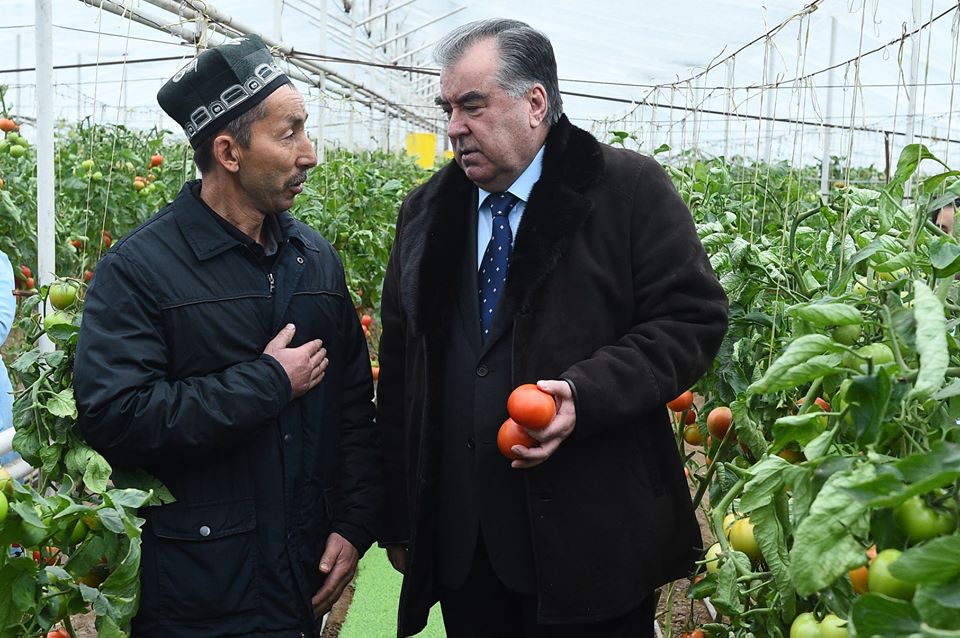 Турсунзода керминал. Турсунзаде на неделю. Таджикистан город турсунзаде. Эмомали рахмон в турсунзаде. Турсунзаде на неделю.